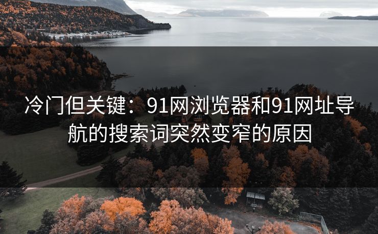 冷门但关键：91网浏览器和91网址导航的搜索词突然变窄的原因
