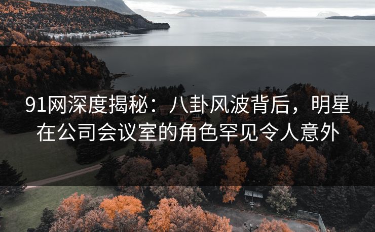 91网深度揭秘：八卦风波背后，明星在公司会议室的角色罕见令人意外
